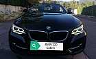 BMW - 220i Cabrio Sport (5 di 25)