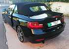 BMW - 220i Cabrio Sport (10 di 25)