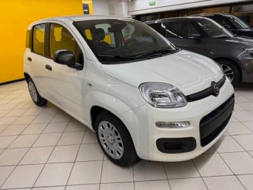 FIAT - Panda 1.0 FireFly S&S Hybrid (2 di 12) FIAT - Panda 1.0 FireFly S&S Hybrid (2 di 12)