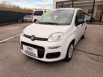 FIAT - Panda 1.0 FireFly S&S Hybrid (13 di 17)