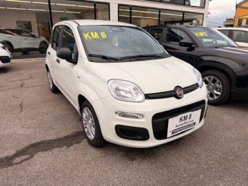 FIAT - Panda 1.0 FireFly S&S Hybrid (14 di 17)