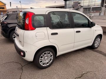 FIAT - Panda 1.0 FireFly S&S Hybrid (15 di 17)