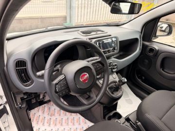 FIAT - Panda 1.0 FireFly S&S Hybrid (17 di 17)