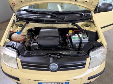 FIAT - Panda 1.2 Dynamic (11 di 12)