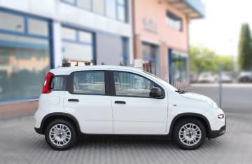 FIAT - Panda 1.0 FireFly S&S Hybrid (3 di 16)