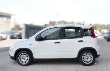 FIAT - Panda 1.0 FireFly S&S Hybrid (4 di 16)