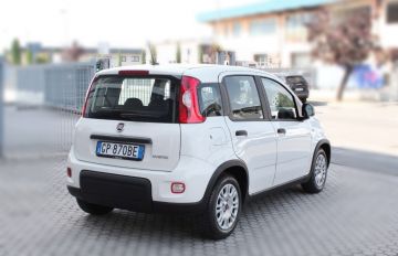 FIAT - Panda 1.0 FireFly S&S Hybrid (6 di 16)