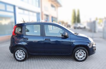 FIAT - Panda 1.2 Easy (3 di 15)