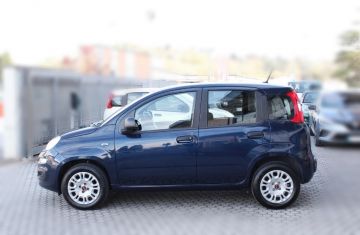 FIAT - Panda 1.2 Easy (4 di 15)