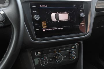 VOLKSWAGEN - Tiguan 1.6 TDI SCR Business BlueMotion Technology (17 di 17)
