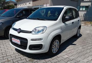 FIAT - Panda 1.0 FireFly S&S Hybrid (1 di 7)