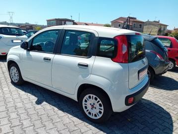 FIAT - Panda 1.0 FireFly S&S Hybrid (7 di 7)
