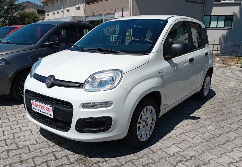 FIAT - 1.2 BENZINA 69CV  EASY 