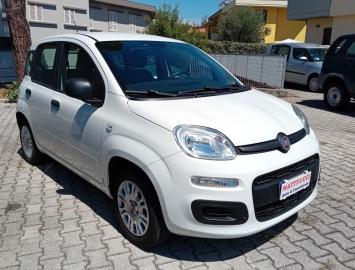 FIAT - 1.2 BENZINA 69CV  EASY  (6 di 7)
