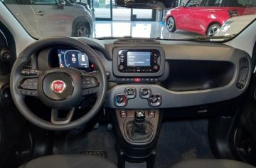 FIAT - Panda 1.0 FireFly S&S Hybrid (16 di 22)
