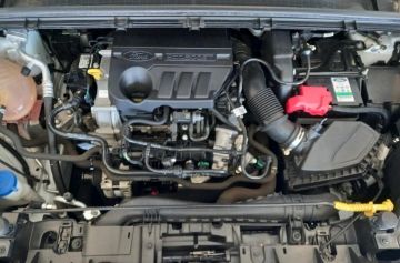 FORD - Puma 1.0 EcoBoost 125 CV S&S Titanium (24 di 25)