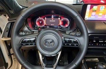 MAZDA - CX-60 3.3L e-Skyactiv D 249 CV M Hybrid AWD Homura (10 di 21)