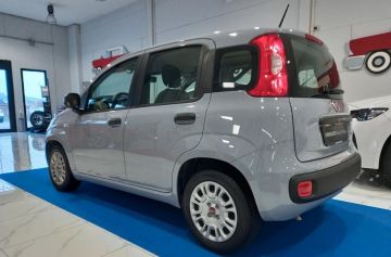 FIAT - 1.0 FireFly S&S Hybrid (2 di 22)