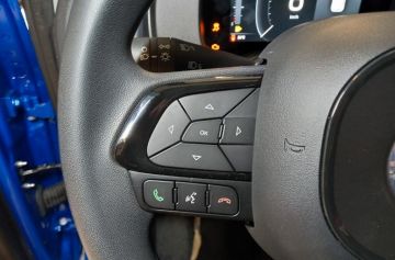 FIAT - Panda 1.0 FireFly S&S Hybrid (12 di 22)