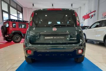 FIAT - Panda Cross 1.0 FireFly S&S Hybrid (3 di 22)