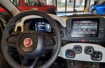 FIAT - Panda Cross 1.0 FireFly S&S Hybrid (11 di 22)