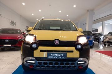 FIAT - Panda 0.9 TwinAir Turbo S&S 4x4 (6 di 27)