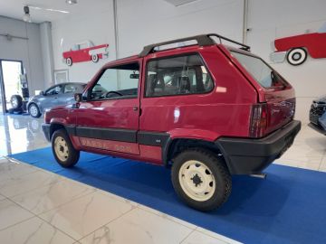 FIAT - Panda 1000 i.e. 4x4 Trekking (3 di 17)
