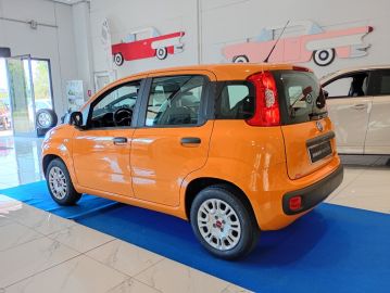 FIAT - Panda 1.2 Pop (4 di 24)