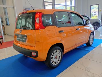 FIAT - Panda 1.2 Pop (6 di 24)