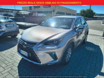 LEXUS - NX Hybrid Business