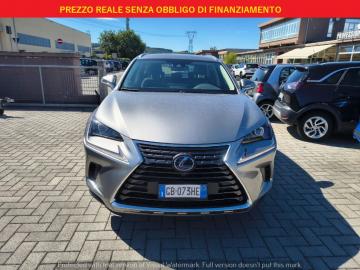 LEXUS - NX Hybrid Business (2 di 25)
