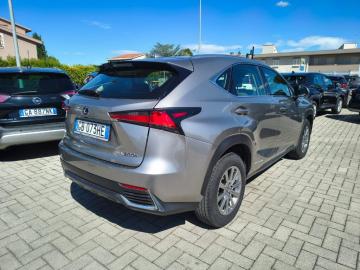 LEXUS - NX Hybrid Business (5 di 25)