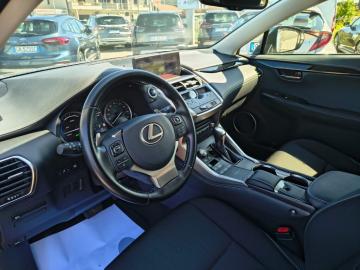 LEXUS - NX Hybrid Business (7 di 25)