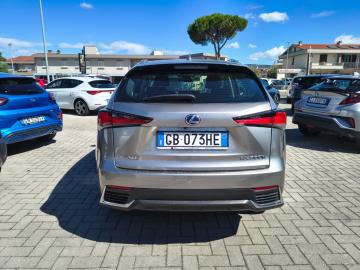 LEXUS - NX Hybrid Business (25 di 25)