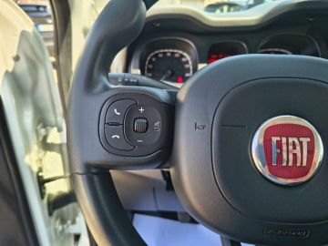 FIAT - Panda 0.9 TwinAir Turbo S&S 4x4 (9 di 20)