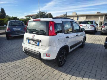 FIAT - Panda 1.0 FireFly S&S Hybrid City Life (4 di 20)