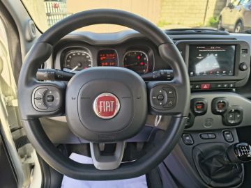 FIAT - Panda 1.0 FireFly S&S Hybrid City Life (8 di 20)