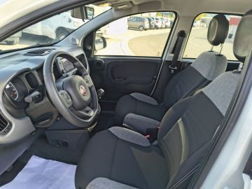 FIAT - Panda 1.0 FireFly S&S Hybrid City Life (9 di 20)