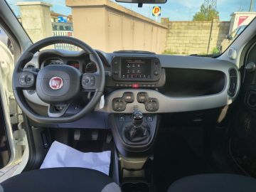 FIAT - Panda 1.0 FireFly S&S Hybrid City Life (14 di 20)
