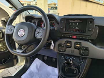 FIAT - Panda 1.0 FireFly S&S Hybrid City Life (16 di 20)