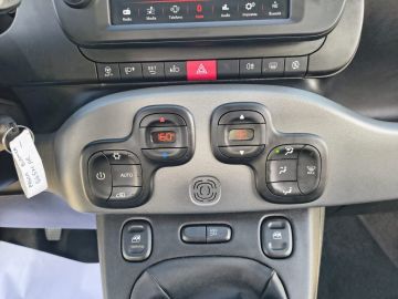 FIAT - Panda 1.0 FireFly S&S Hybrid City Life (18 di 20)