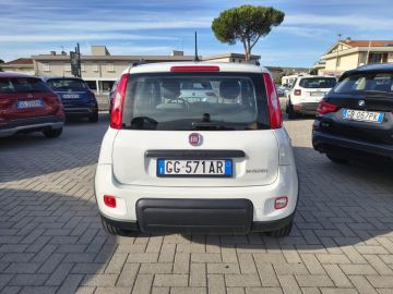 FIAT - Panda 1.0 FireFly S&S Hybrid City Life (20 di 20)