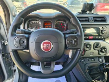 FIAT - Panda 1.0 FireFly S&S Hybrid City Life (7 di 18) FIAT - Panda 1.0 FireFly S&S Hybrid City Life (7 di 18)