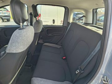 FIAT - Panda 1.0 FireFly S&S Hybrid City Life (14 di 18) FIAT - Panda 1.0 FireFly S&S Hybrid City Life (14 di 18)