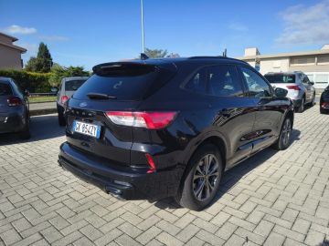 FORD - Kuga 1.5 EcoBlue 120 CV aut. 2WD ST-Line (5 di 19) FORD - Kuga 1.5 EcoBlue 120 CV aut. 2WD ST-Line (5 di 19)
