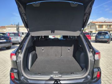 FORD - Kuga 1.5 EcoBlue 120 CV aut. 2WD ST-Line (18 di 19) FORD - Kuga 1.5 EcoBlue 120 CV aut. 2WD ST-Line (18 di 19)