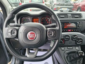 FIAT - Panda 1.0 FireFly S&S Hybrid City Life (6 di 17)
