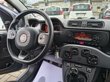 FIAT - Panda 1.0 FireFly S&S Hybrid City Life (12 di 17)