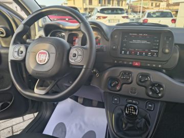 FIAT - Panda 0.9 TwinAir Turbo S&S 4x4 Wild (9 di 19)