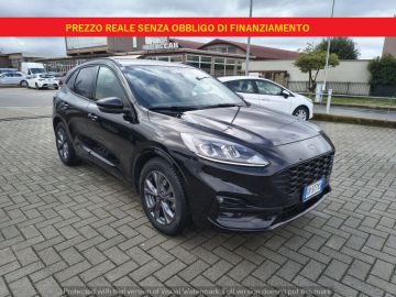 FORD - Kuga 2.0 EcoBlue 120 CV aut. 2WD ST-Line (3 di 22)